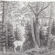 (&copy; Johanna Kiivaskoski)